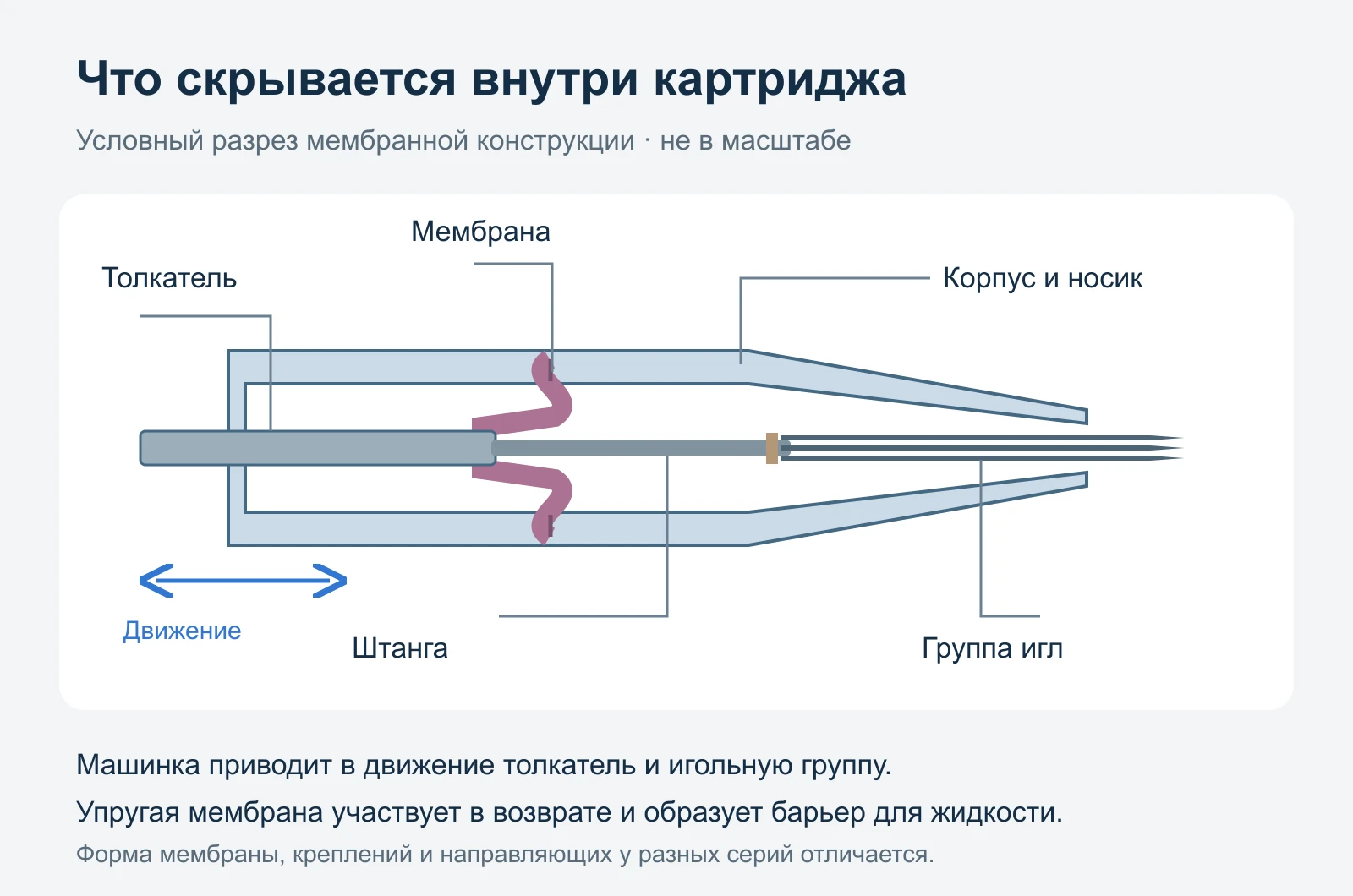 Условный разрез тату-картриджа с корпусом, толкателем, мембраной, штангой и группой игл