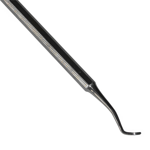 Mertz_168b.jpg Mertz_168b.jpg