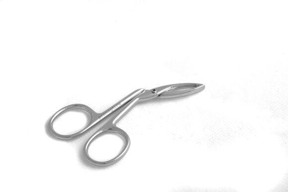 IMG_1412.jpg IMG_1412.jpg