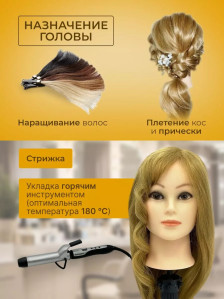 Учебная голова PRONOGTI 1808A-27, натуральные волосы 60-65 см, для учебной практики