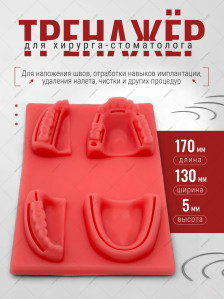 Стоматологический тренажёр PRONOGTI, 170 × 130 × 5 мм