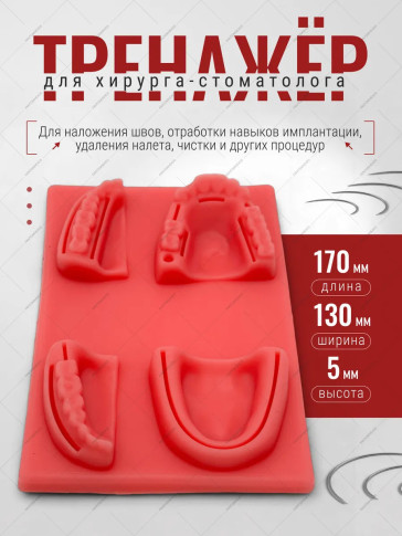 Стоматологический тренажёр PRONOGTI, 170 × 130 × 5 мм
