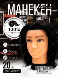 Мужской манекен PRONOGTI 87, натуральные волосы 20-25 см, варианты количества