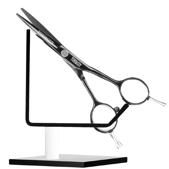 Toni-Gay2.jpg Toni-Gay2.jpg