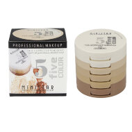 Набор компактной пудры 5 цветов MiniStar