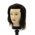 Голова учебная, мужская, FANTOM