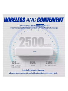 Трансферный принтер DragonHawk Mast Smart A4, Bluetooth, 203 dpi