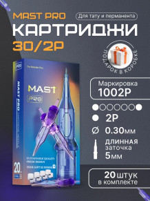 Картриджи DragonHawk Mast Pro 2P 0,30 мм — 20 шт.