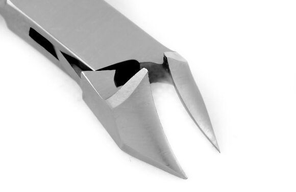 IMG_1533.jpg IMG_1533.jpg